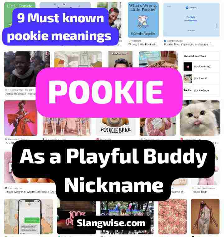 pookie meaning as a playful buddy pookie as a playful buddy