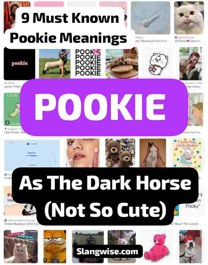 dark horse - pookie meaning Pookie meaning as the dark horse