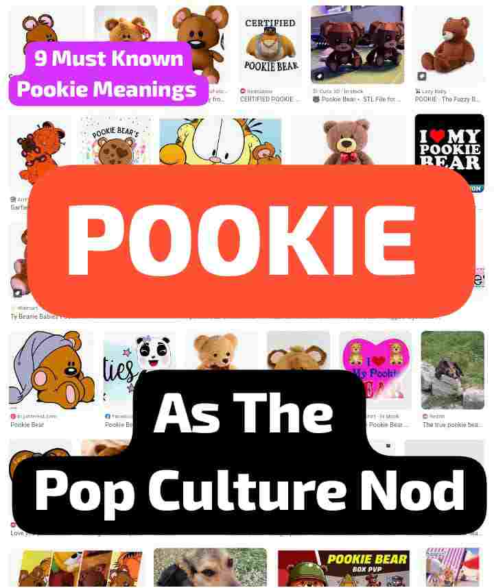 meaning of pookie as pop culture nod pookie as a nod culture pop