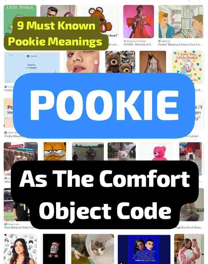 pookie as comfort object code Pookie meaning as the comfort object code