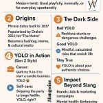 YOLO Meaning In Slang Image