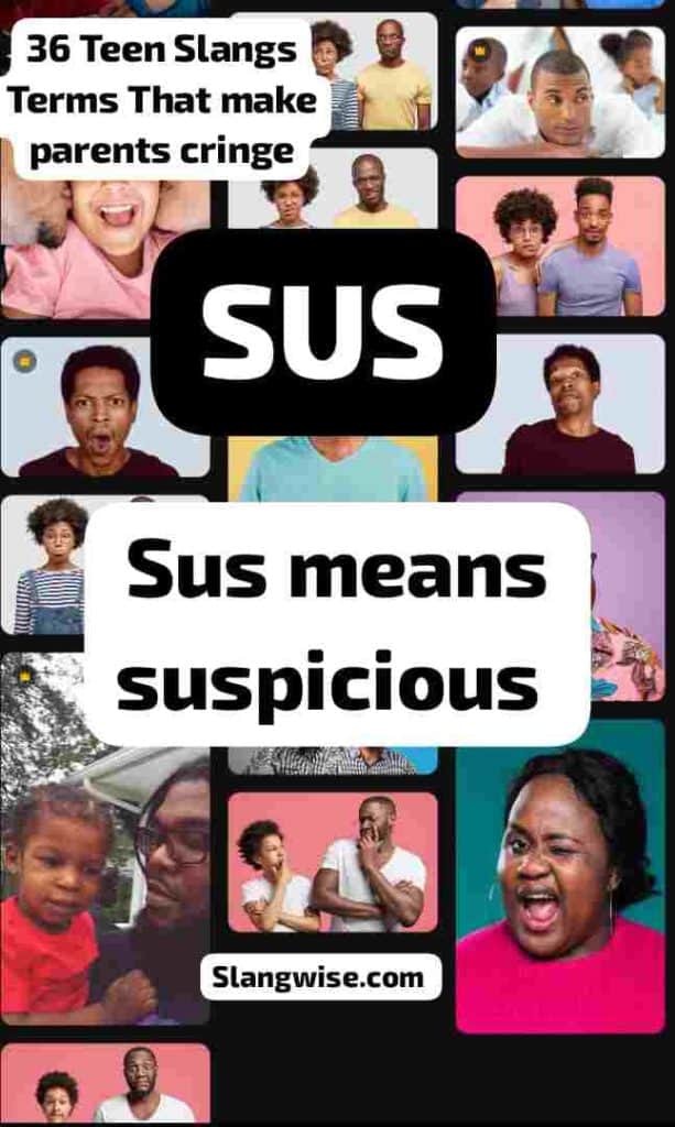Sus meaning 