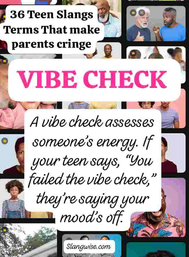 meaning of vibe check  Vibe check meaning in slang