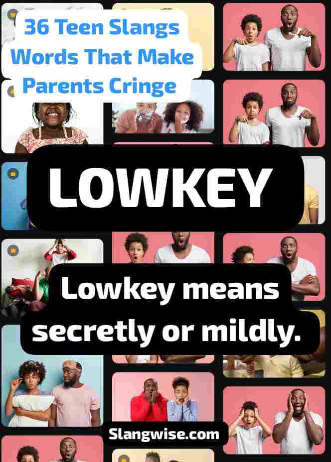 meaning of lowkey in slang  Lowkey meaning in slang