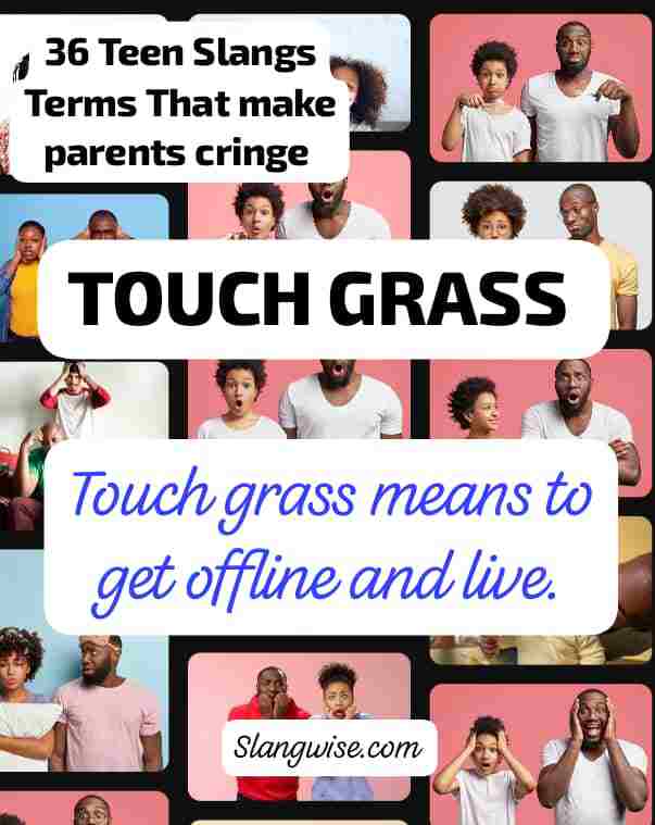 meaning of touch grass in Gen Z Slang  Touch Grass meaning in slang