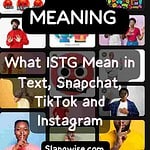 istg meaning