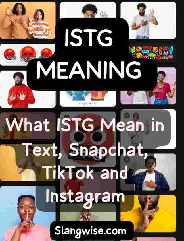 istg meaning