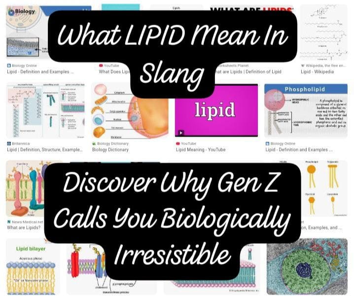 Lipid meaning slang