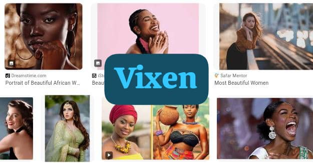 vixen slang for beautiful women