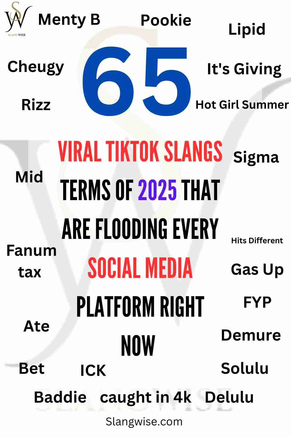 viral TikTok slang