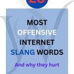 Offensive slang words
