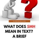 smh meaning in text