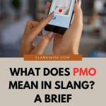 pmo meaning in slang