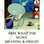 srm what the sigma meaning