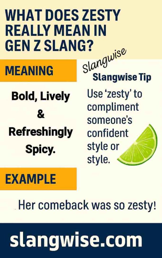 zesty meaning in slang Infographic showing the meaning of Zesty in slang