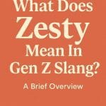 Zesty meaning in slang