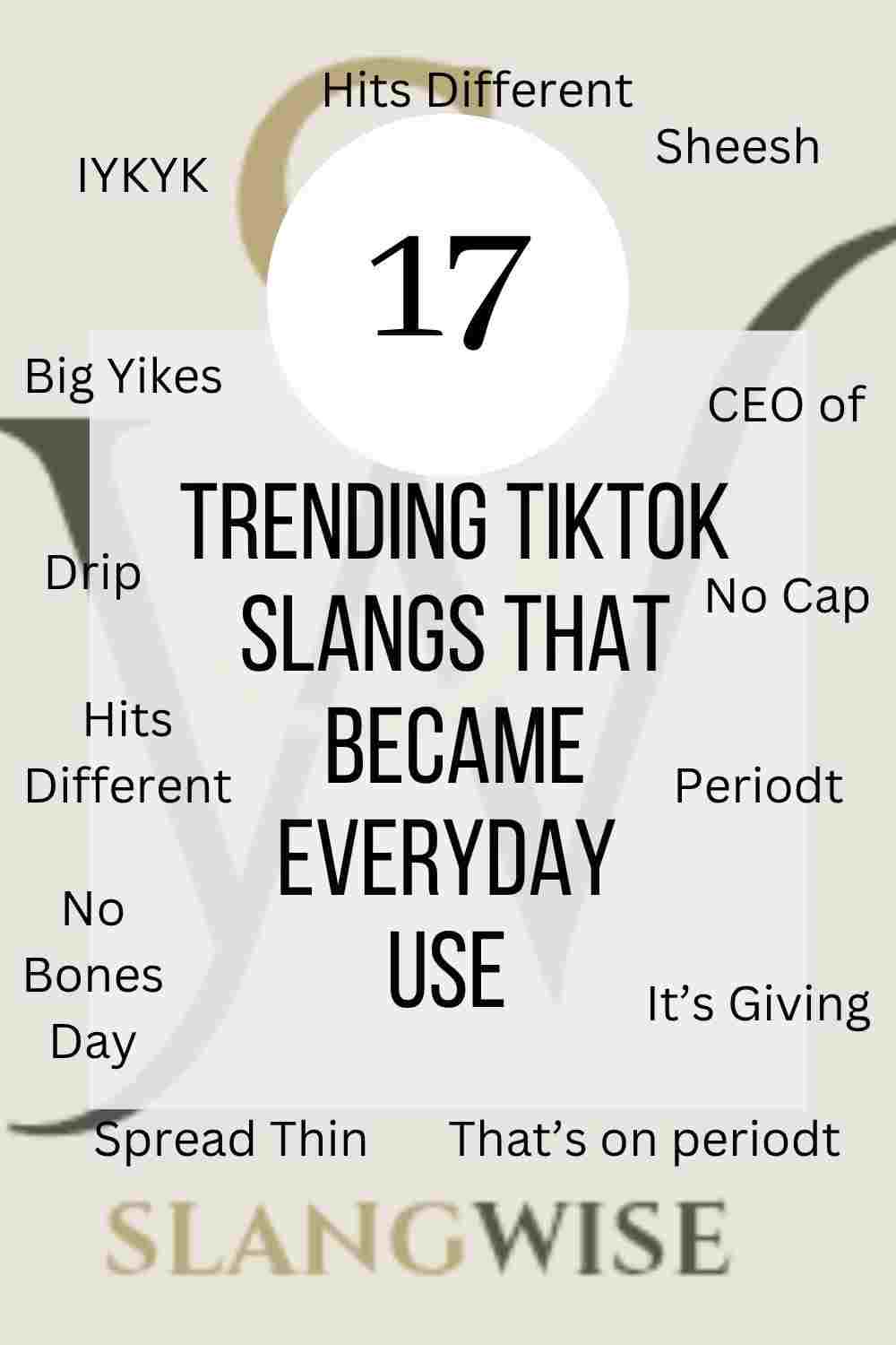 17 TikTok slangs that's become everyday use