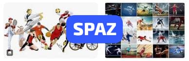 Spaz Spaz - Controversial slang words in sports