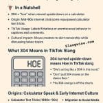 304 meaning on TikTok image