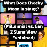 what does cheeky mean in slang