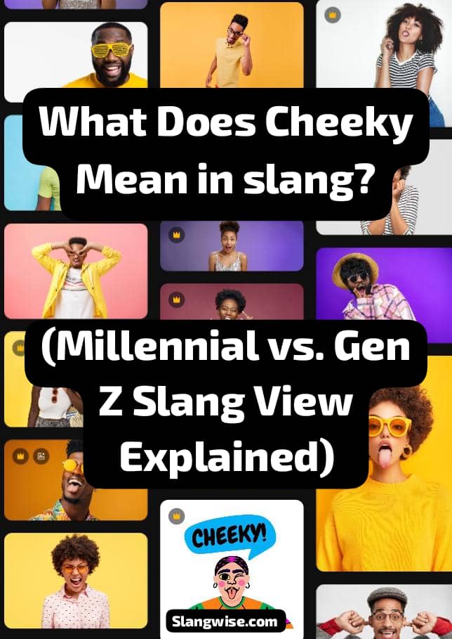 what does cheeky mean in slang