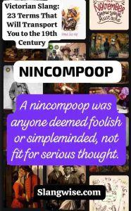nincompoop - Victorian British slang nincompoop meaning - Victorian slang