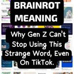 brainrot Meaning on TikTok