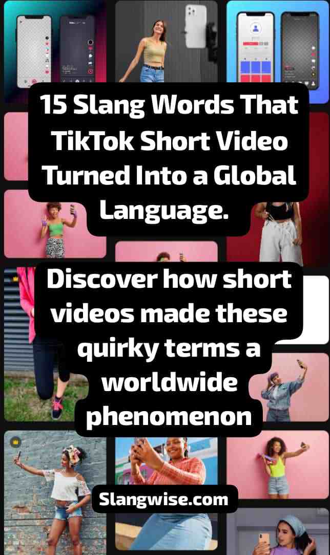 tiktok slangs