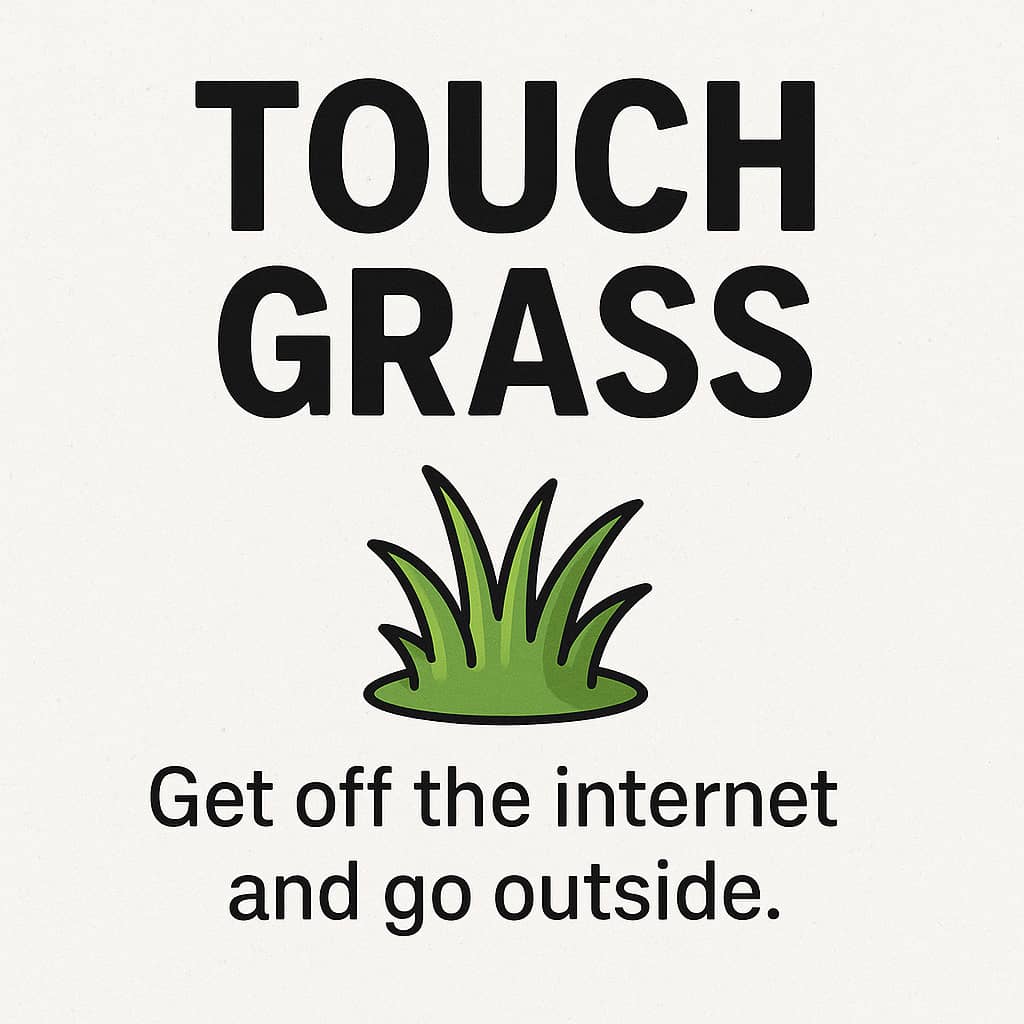touch grass meaning