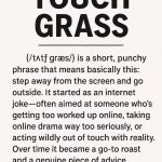 touch grass meaning