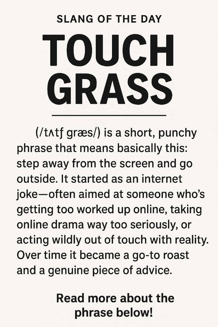touch grass meaning