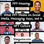 PFP meaning in text