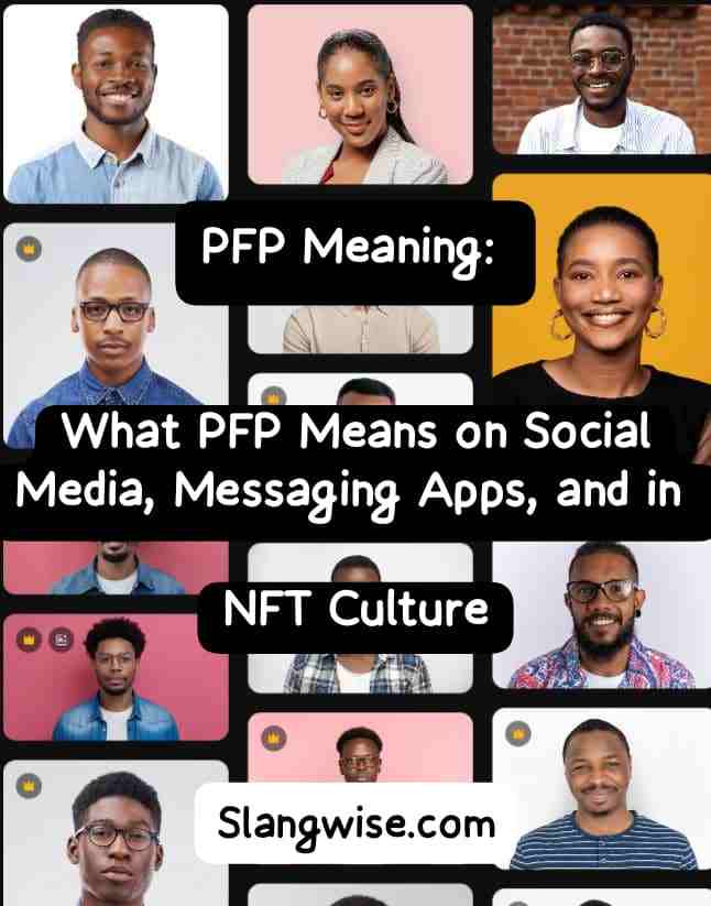 PFP meaning in text