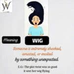Wig meaning in gen z slang