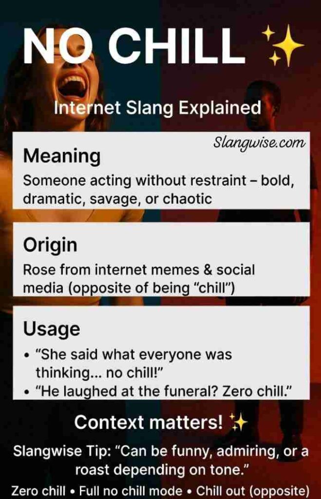 No chill meaning in slang image