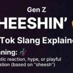 What sheeshin mean in slang