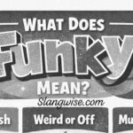 Funky Meaning in Slang? Discover The Slang Meaning Behind Funky Friday and Be Funky