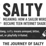 Salty Meaning in slang