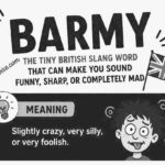 Barmy Meaning Explained: The Tiny British Slang Word That Can Make You Sound Funny, Sharp, or Completely Mad