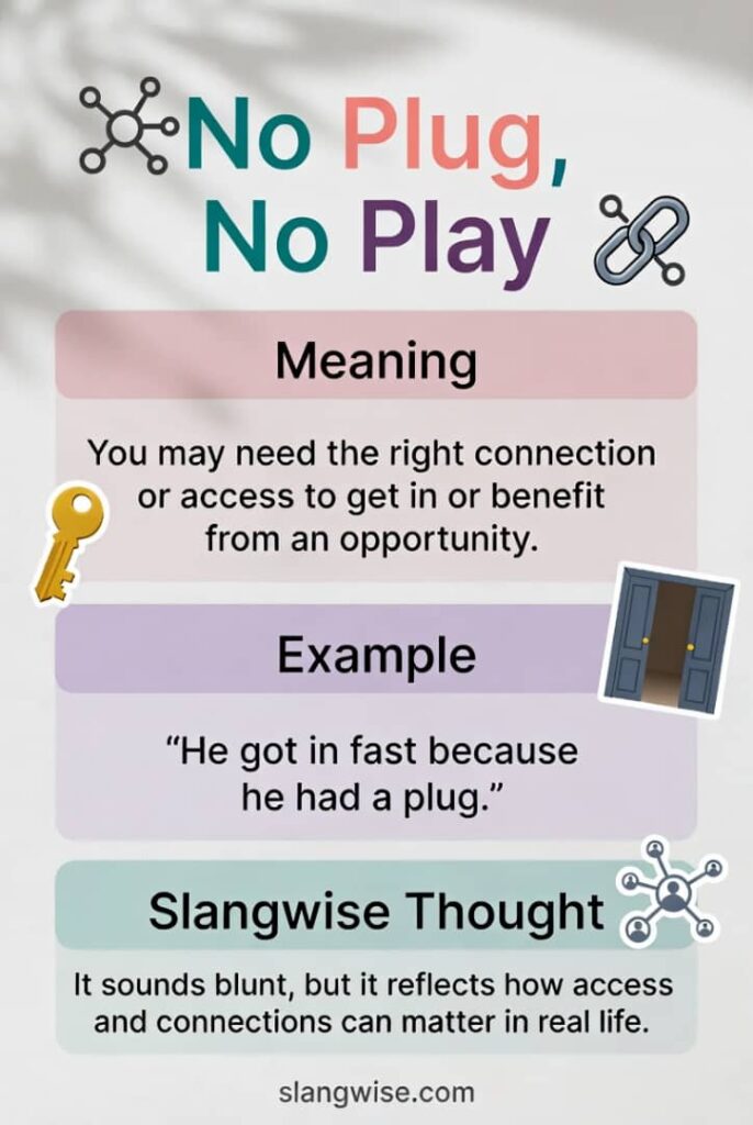 No Plug No Play Meaning in Slang: The Brutal Truth About Connections and Access Online and Offline