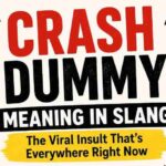 Crash Dummy Meaning in Slang: The Viral Insult That's Everywhere Right Now