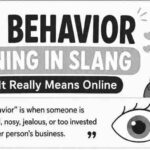 Fan Behavior Meaning in Slang: What It Really Means Online