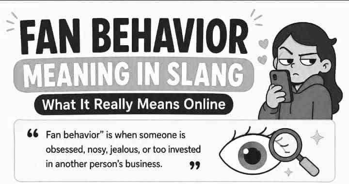 Fan Behavior Meaning in Slang: What It Really Means Online