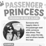 Passenger Princess Meaning in Gen Z Slang: Why Everyone Wants to Be One Right Now