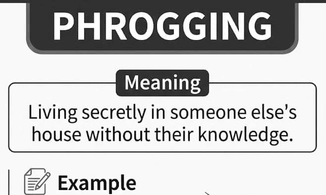 Phrogging Meaning in Slang: The Creepy Hidden-Home Term Everyone Is Suddenly Talking About
